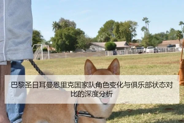 巴黎圣日耳曼恩里克国家队角色变化与俱乐部状态对比的深度分析