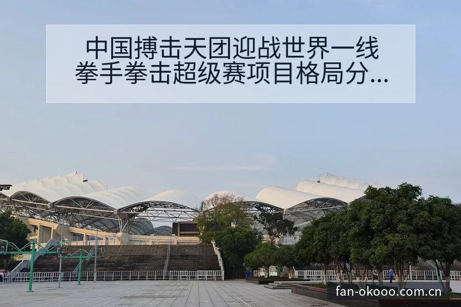 中国搏击天团迎战世界一线拳手拳击超级赛项目格局分析 - 澳客体育赛事